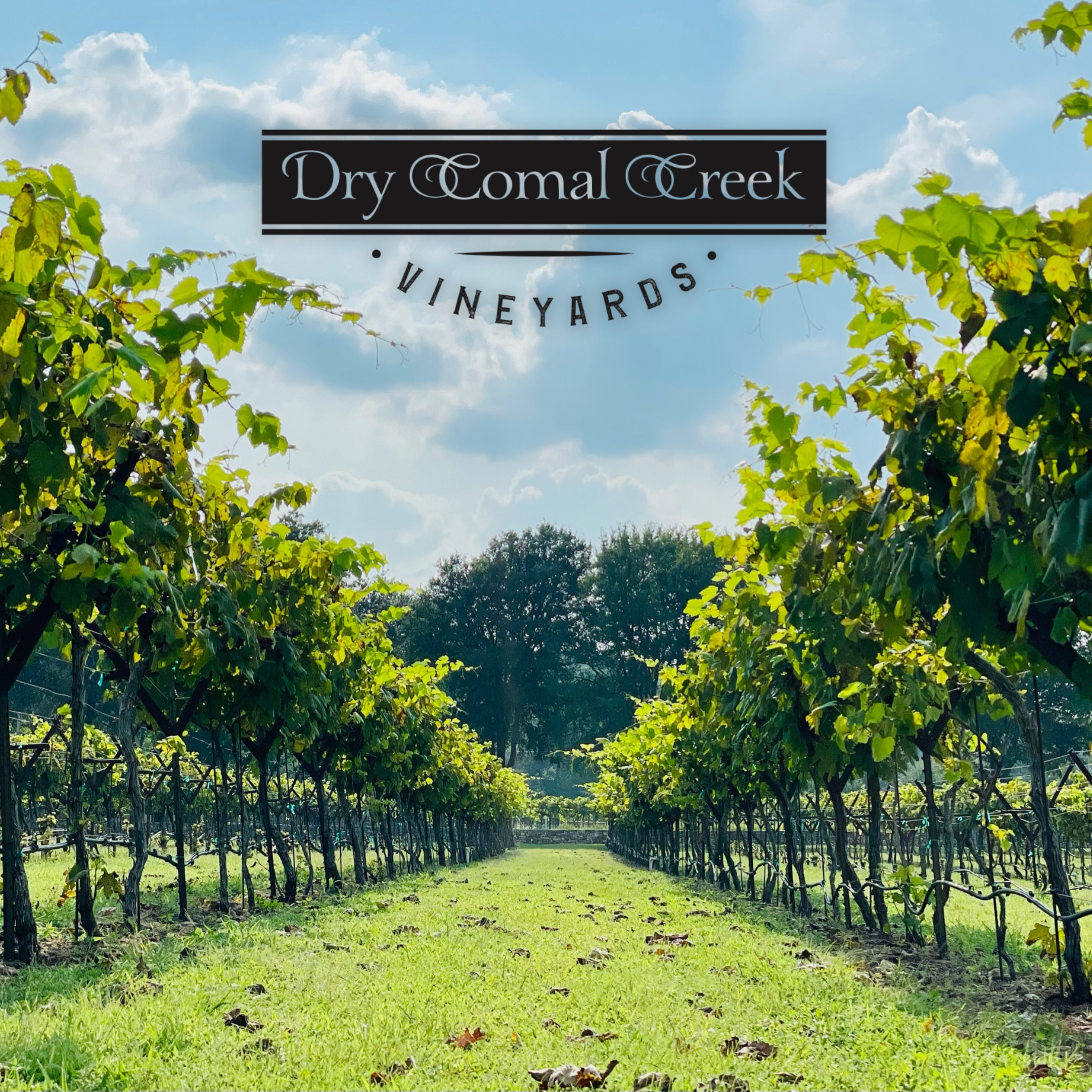 Dry Comal Creek Vineyards Dry Comal Creek Vineyards